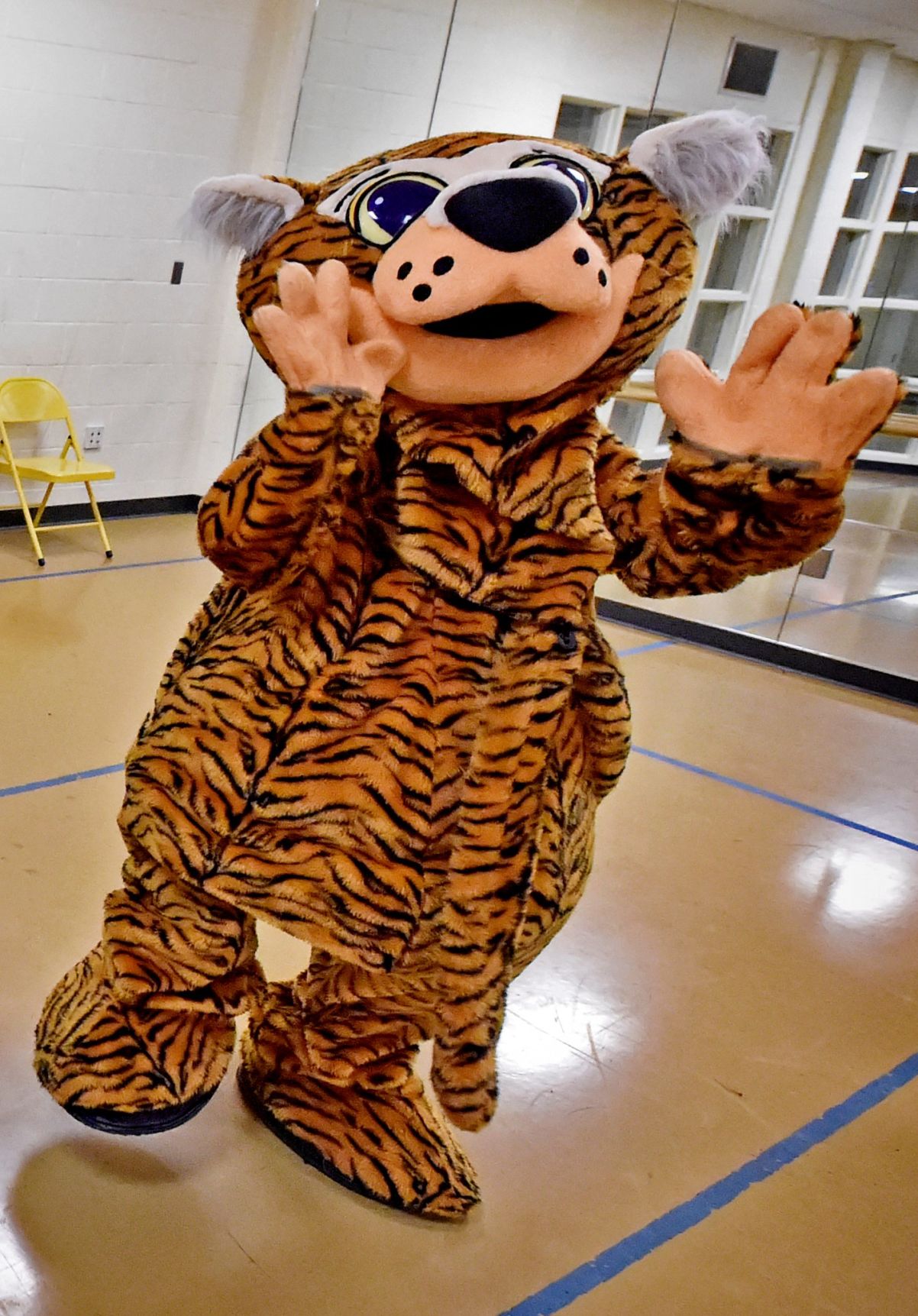 Mascot camp